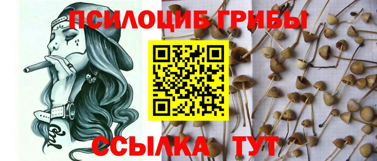 Псилоцибиновые грибы мухоморы Коркино