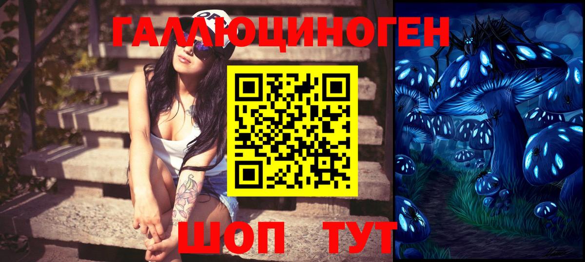 Псилоцибиновые грибы Psilocybe  Вход с VPN  Псилоцибиновые грибы Psilocybe  Коркино 